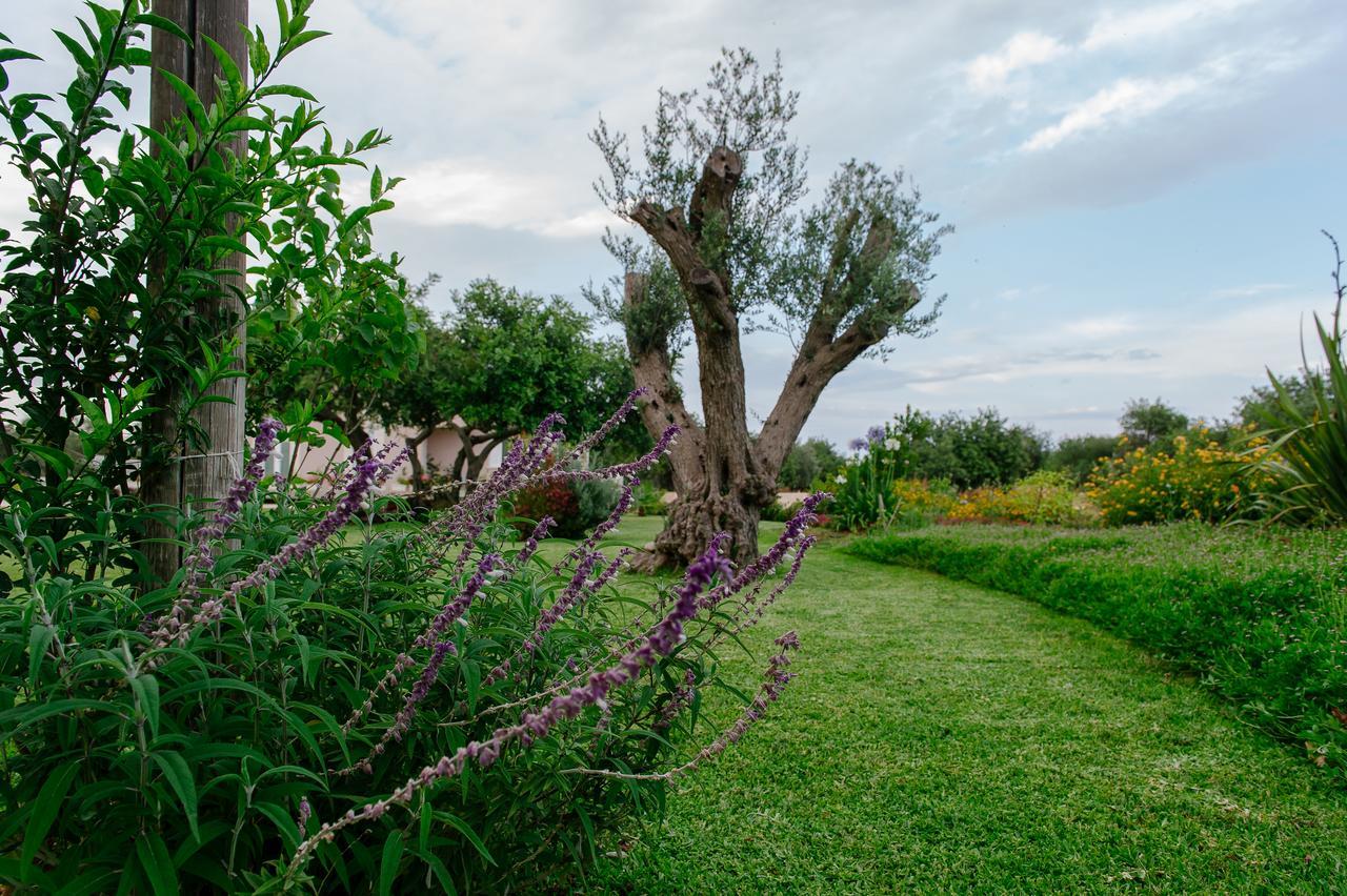 Barokhouse Bed & Breakfast ชิคลี ภายนอก รูปภาพ